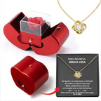 Fashion Jewelry Box Red Apple Christmas Gift