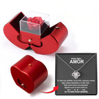 Fashion Jewelry Box Red Apple Christmas Gift