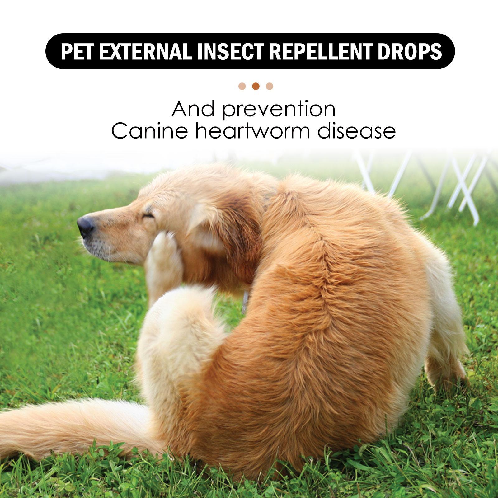 Igbang Pet External Deworming Drops For Cats And Dogs To Remove Ticks And Fleas