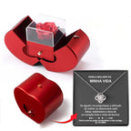 Fashion Jewelry Box Red Apple Christmas Gift